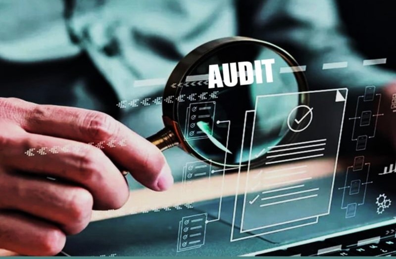 sales audit